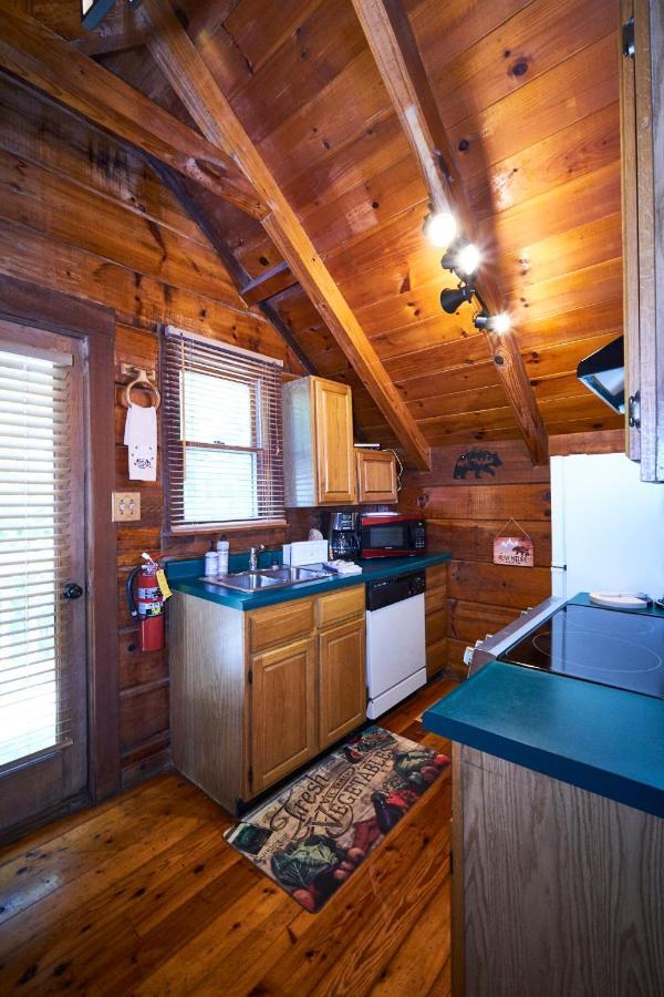 סביירוויל Gatlinburg Area Hottub Cabin - Ladyslipper מראה חיצוני תמונה