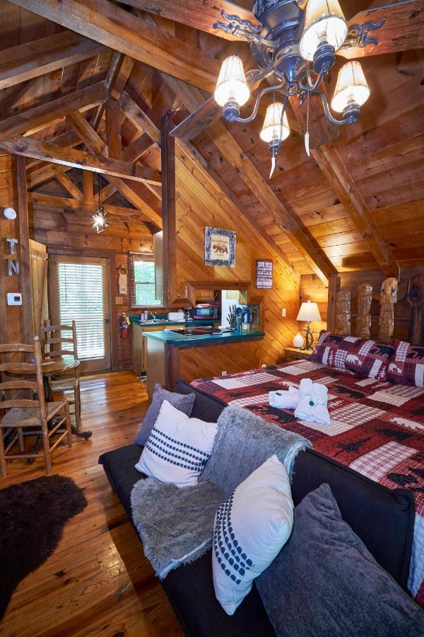 סביירוויל Gatlinburg Area Hottub Cabin - Ladyslipper מראה חיצוני תמונה
