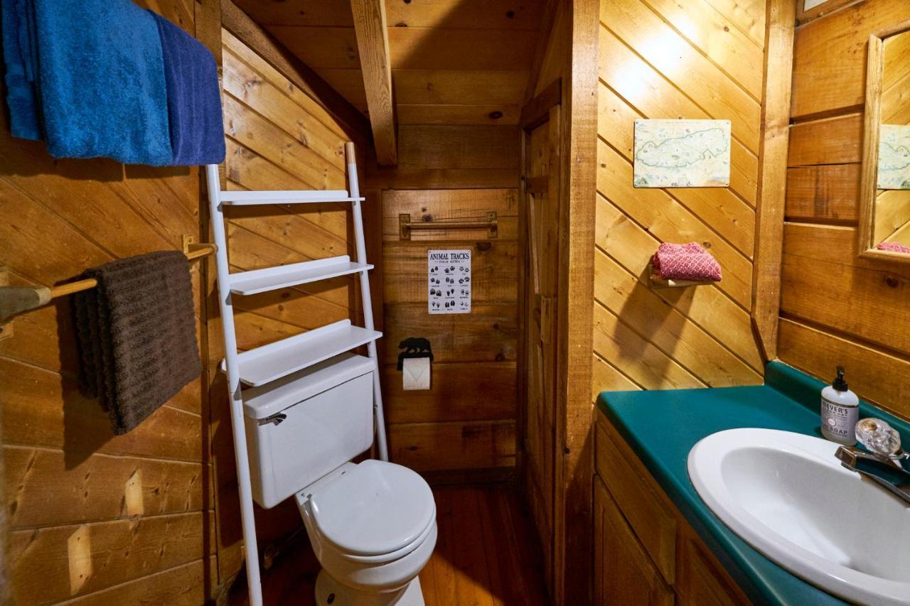 סביירוויל Gatlinburg Area Hottub Cabin - Ladyslipper מראה חיצוני תמונה