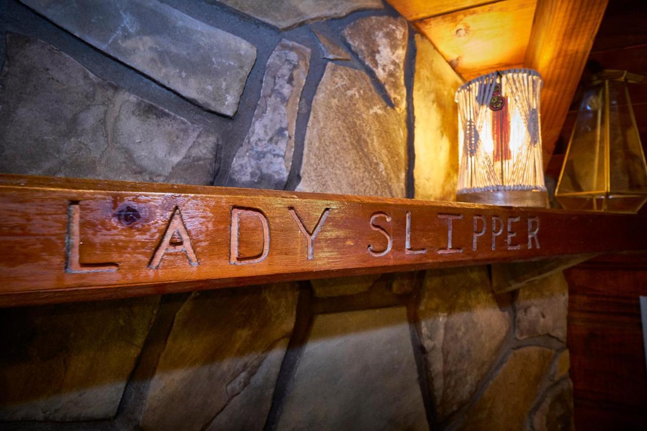 סביירוויל Gatlinburg Area Hottub Cabin - Ladyslipper מראה חיצוני תמונה